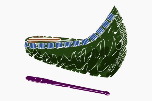 Brushed Oblique Native American Canoe: A Designerβs Guide to Authentic Vector Art