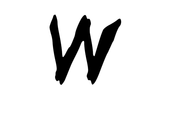 Strategic Visual Identity with Spooky Rough Brushed Mono W